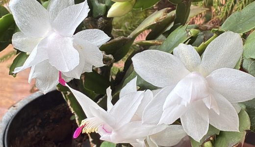 毎日の無駄な過ごし方を改める